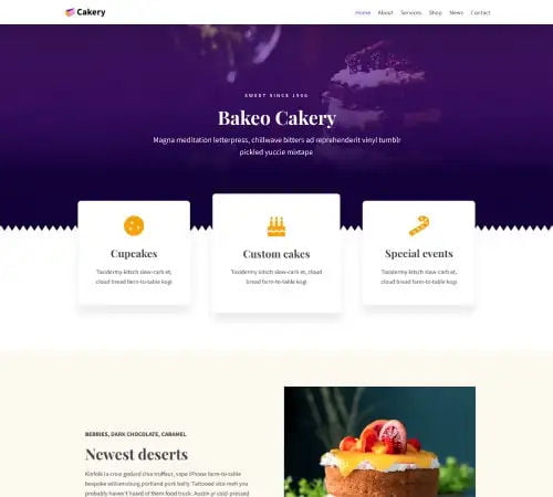 Pre-Made Website