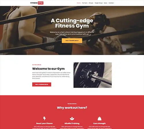 Pre-Made Website