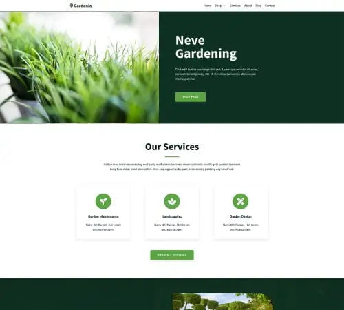 Pre-Made Website