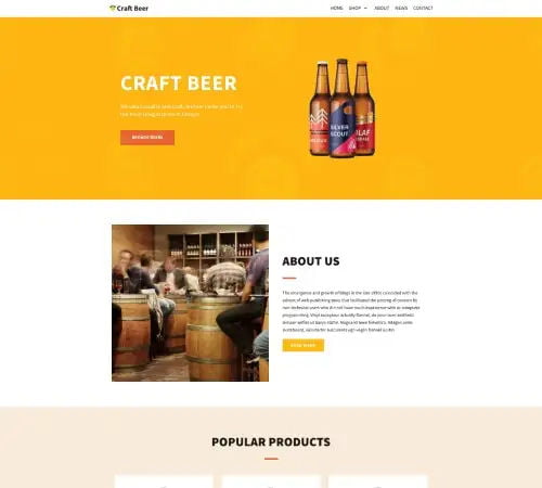 Beer website design