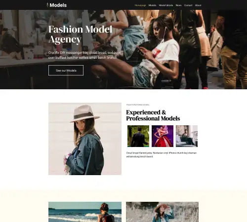 Fashion Model Agency Website Designer