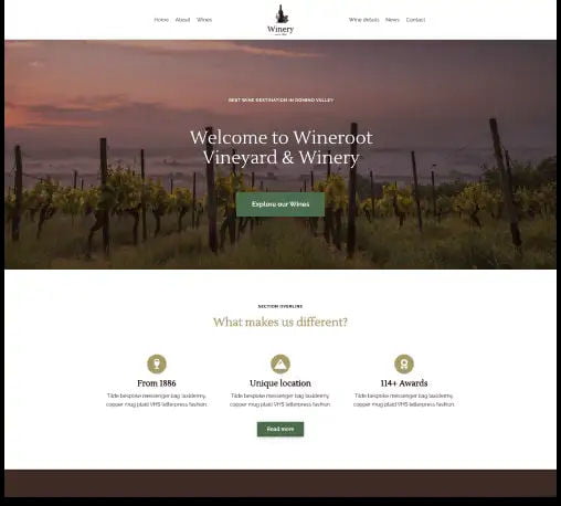 Website Design For Wine Shop