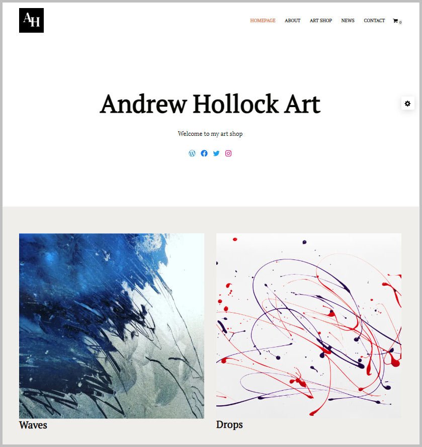 Website Design For Artist