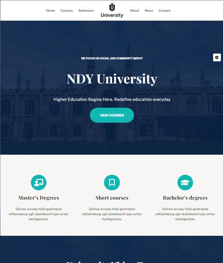 Website Design for University