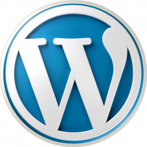 Custom WordPress Development Services